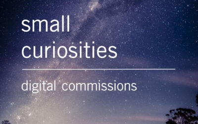 Small Curiosities
